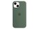 Apple Silikon Case mit MagSafe, für iPhone 13 mini, eukalyptus