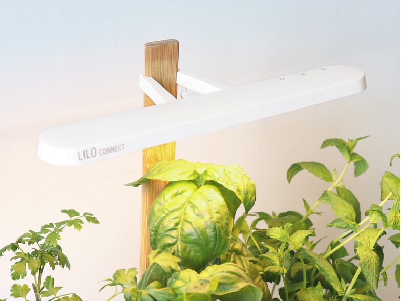 Prêt à Pousser Lilo Connect, smarter Indoor-Garten, 3er-Starter-Kit