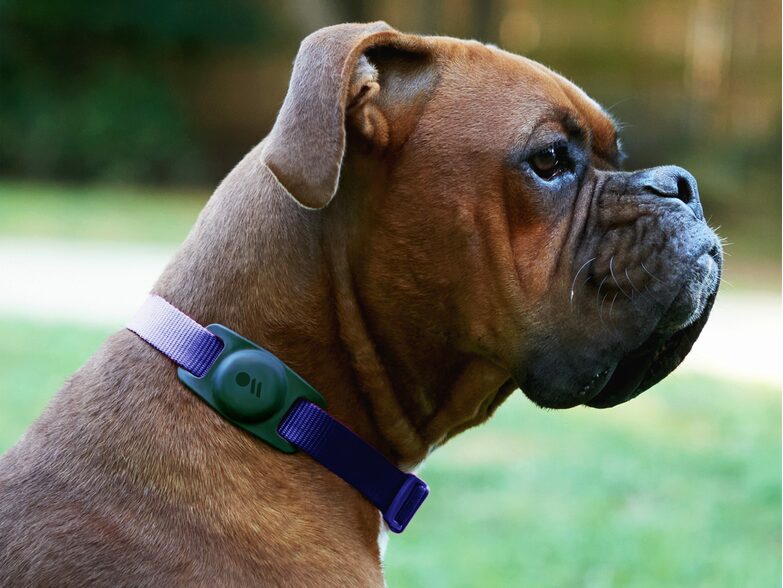case-mate AirTag-Case für Hundehalsband, Silikon-Halterung, schwarz